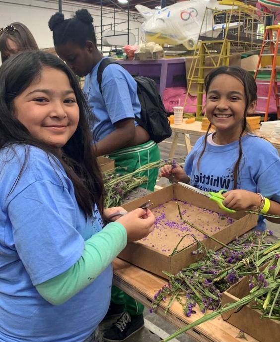 Two girls sorting plants